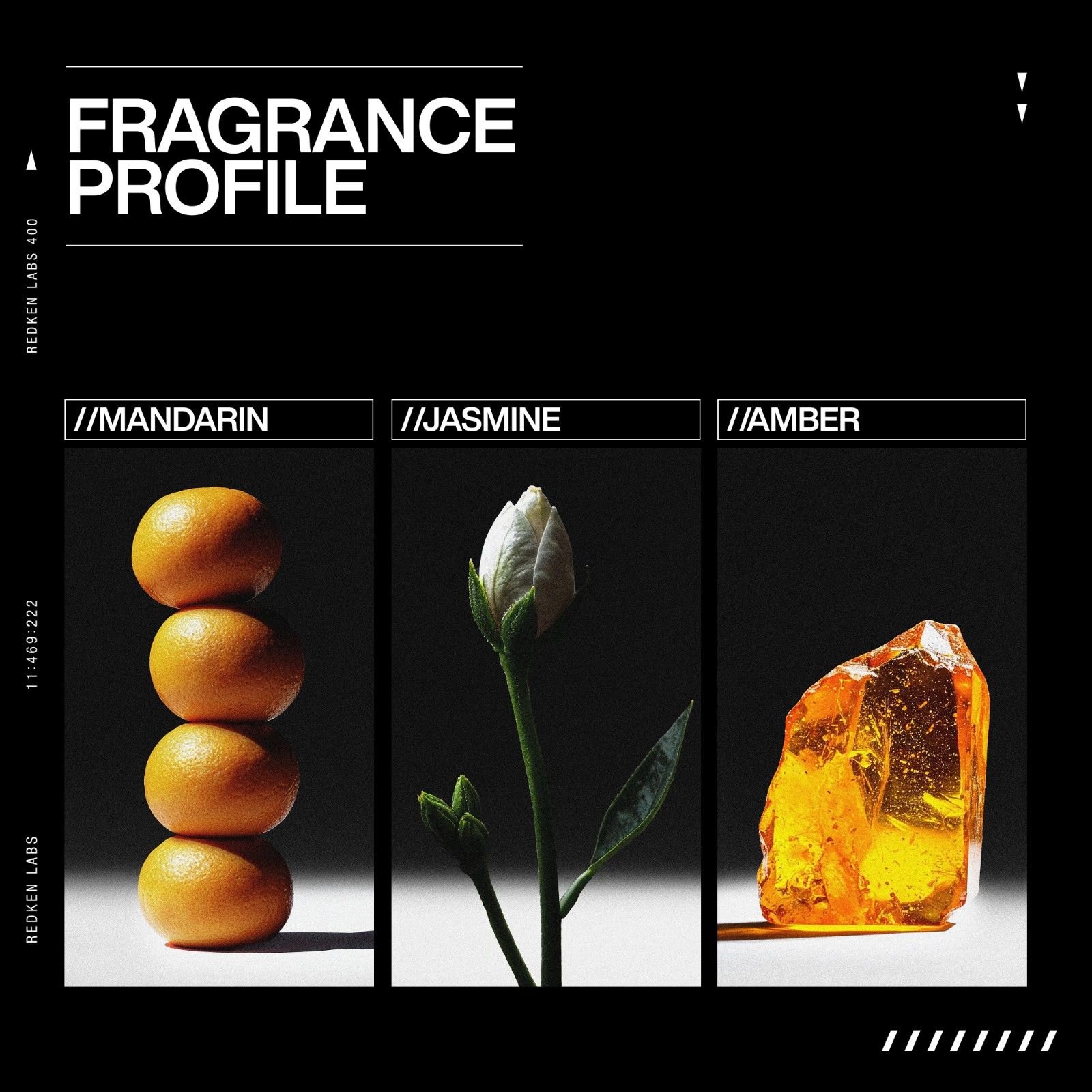 Fragrance (1)
