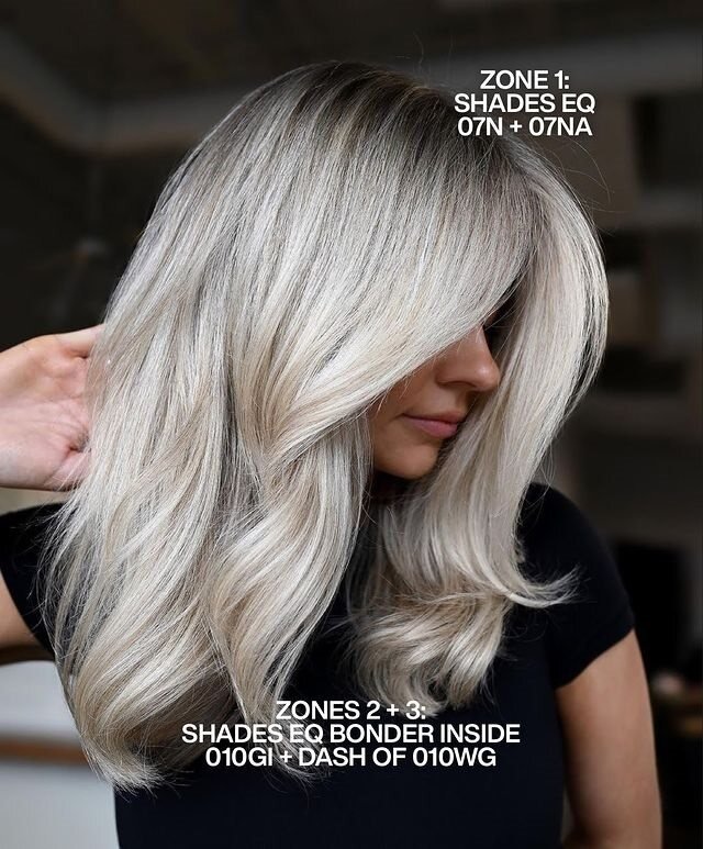 Platinum Blonde Redken Recipe with formula
