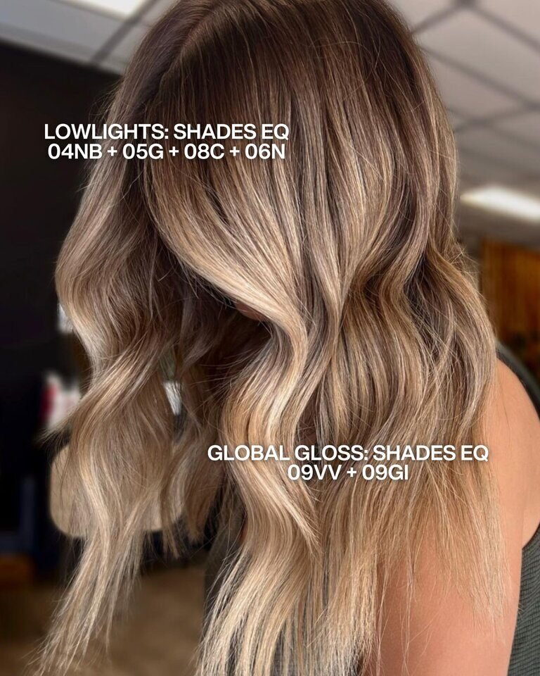 Beige Bronde Redken Recipe with formula